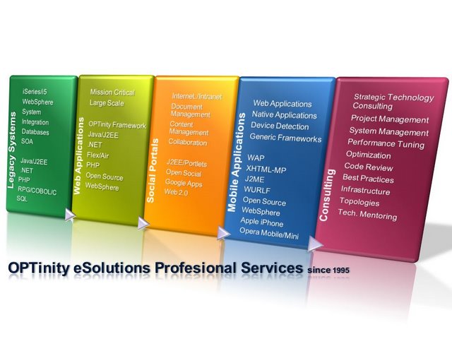 OPTinity eSolutions Professional Services Since 1995
